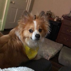 Meet your Posher, Grant